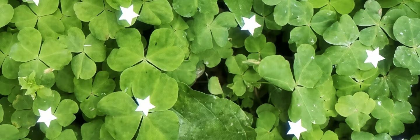 🍀 banner