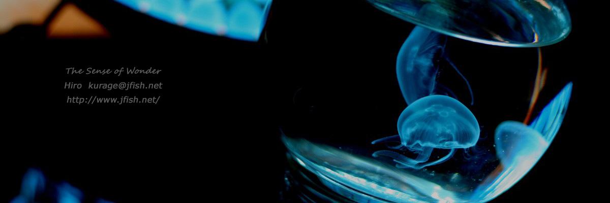 Aqua_hiro's profile banner image