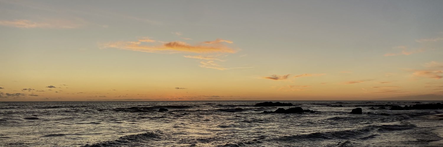 maanulb's profile banner image