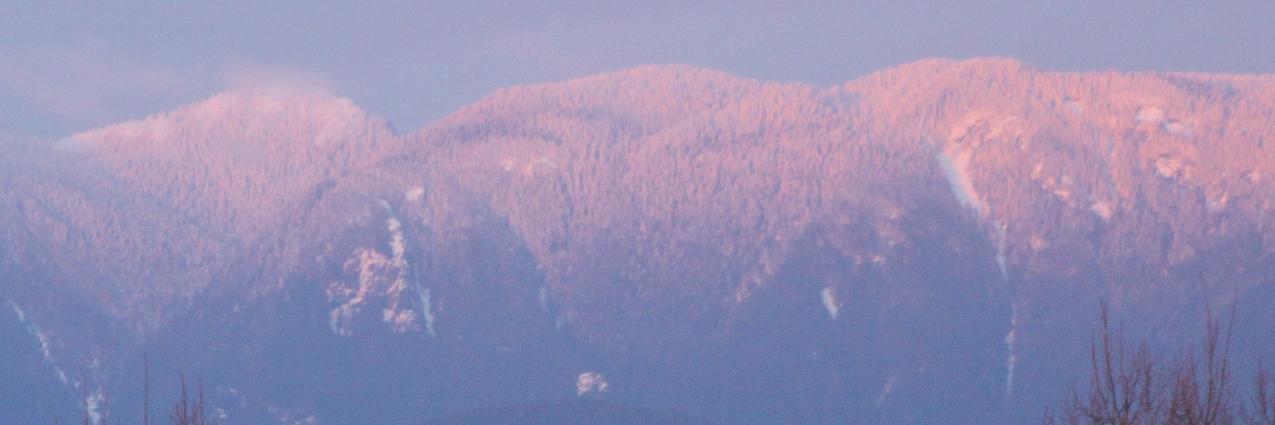 koryhurst's profile banner image