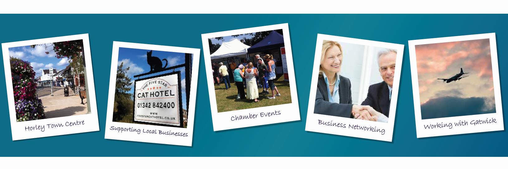 Horleychamber's profile banner image