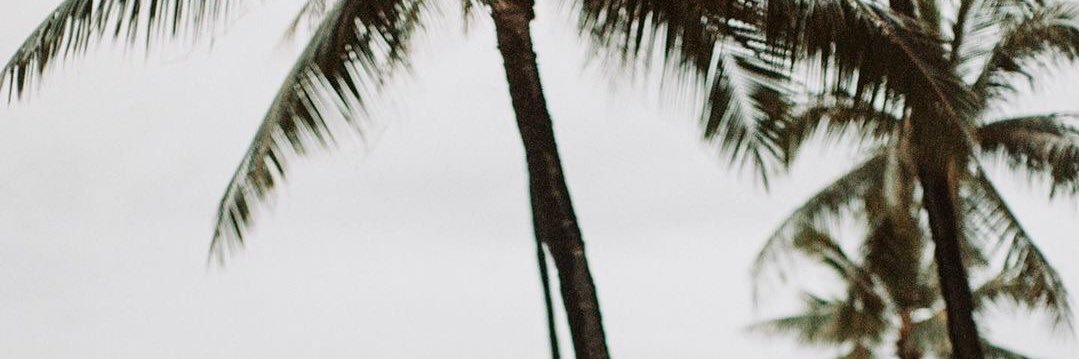 Hoodynim's profile banner image