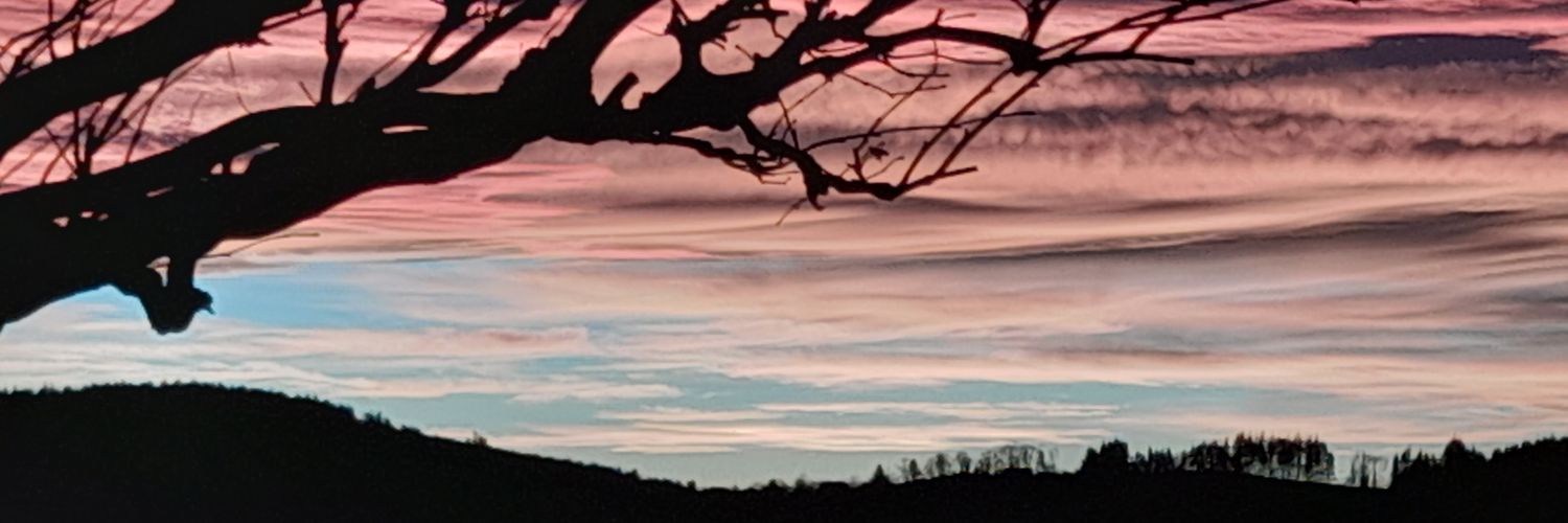 cedric_du42's profile banner image