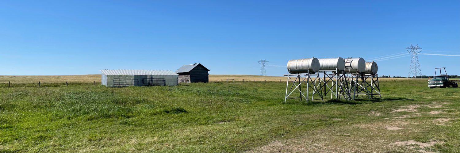 Les Stelmach 🇨🇦🇺🇦 banner
