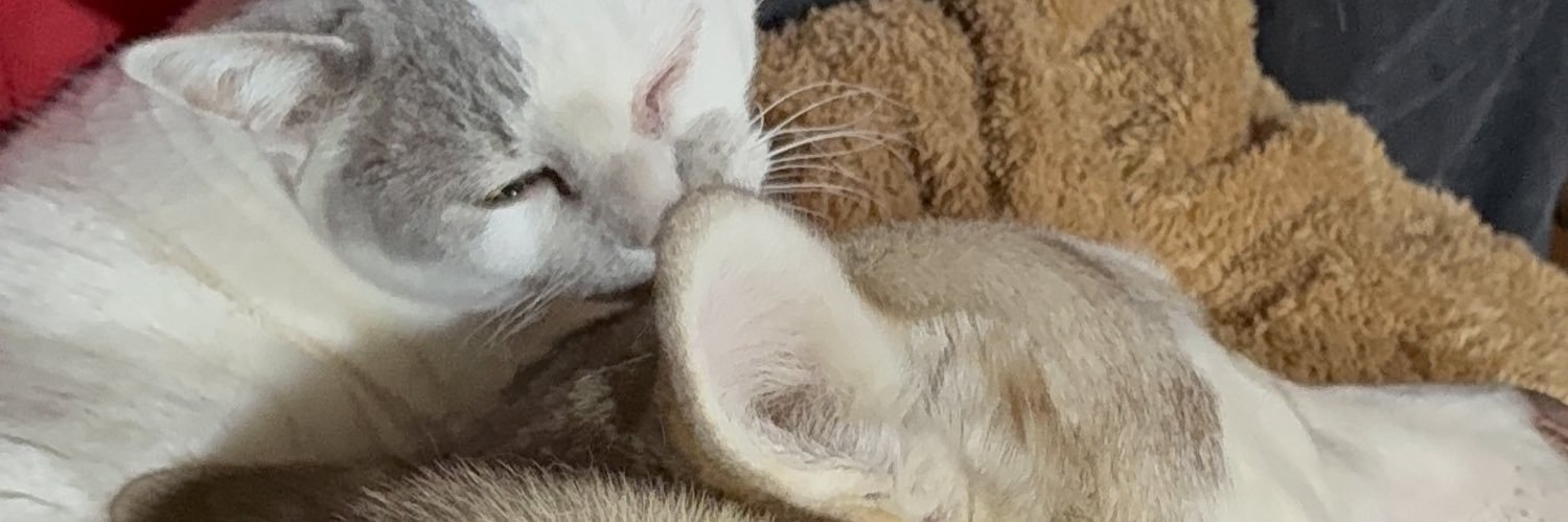 anntolol's profile banner image