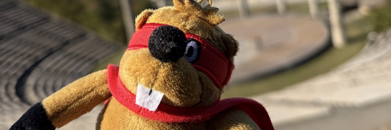 かつサンド ·͜· 🦫 banner