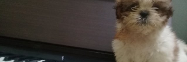 thomasjerry77's profile banner image