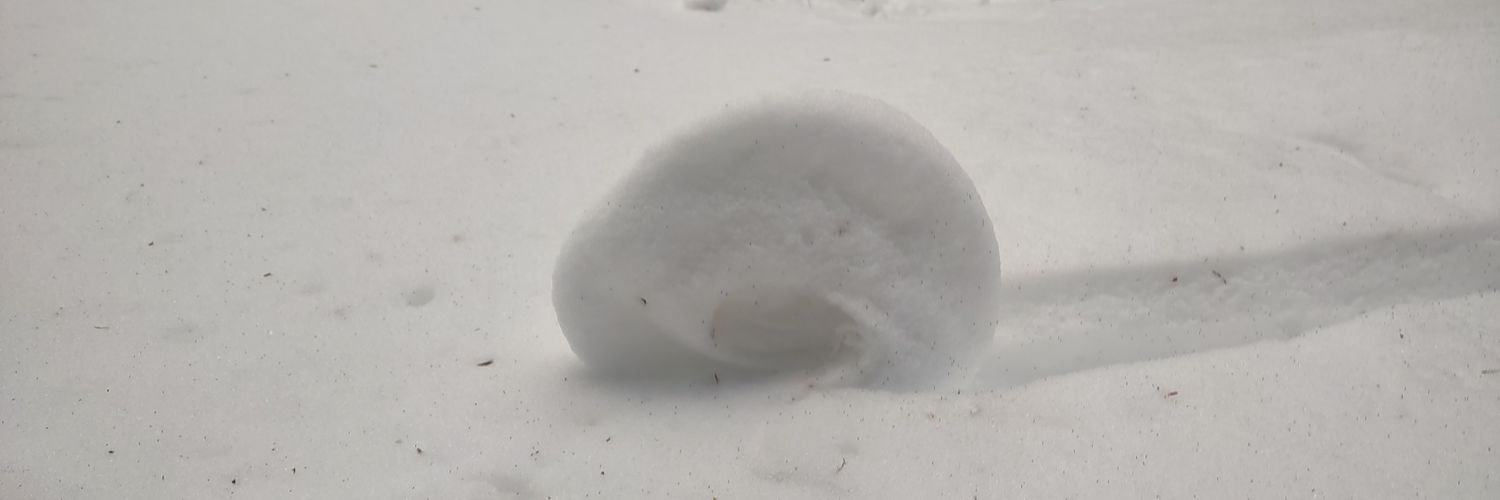 SeanWilly32's profile banner image