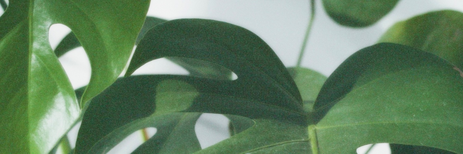 MarcelaSoares's profile banner image