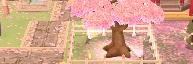 acpc_whh's profile banner image