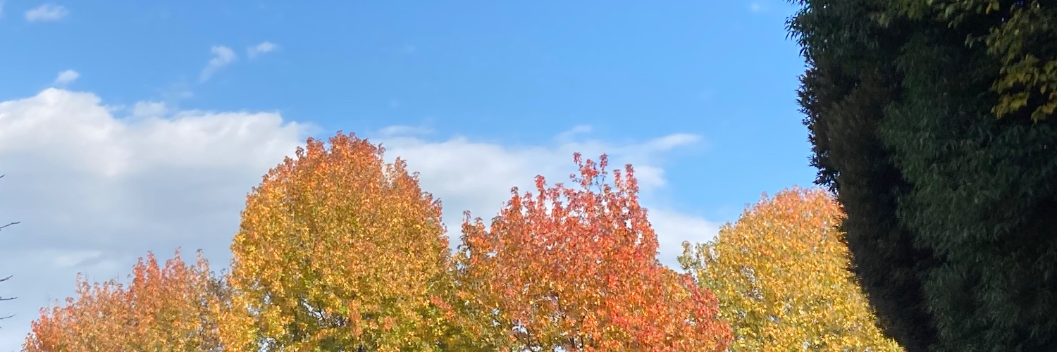 zap11566's profile banner image