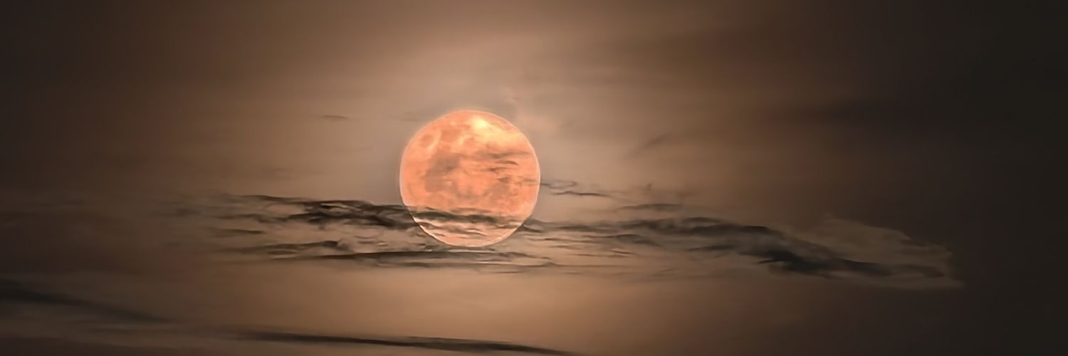 oktavaldi's profile banner image