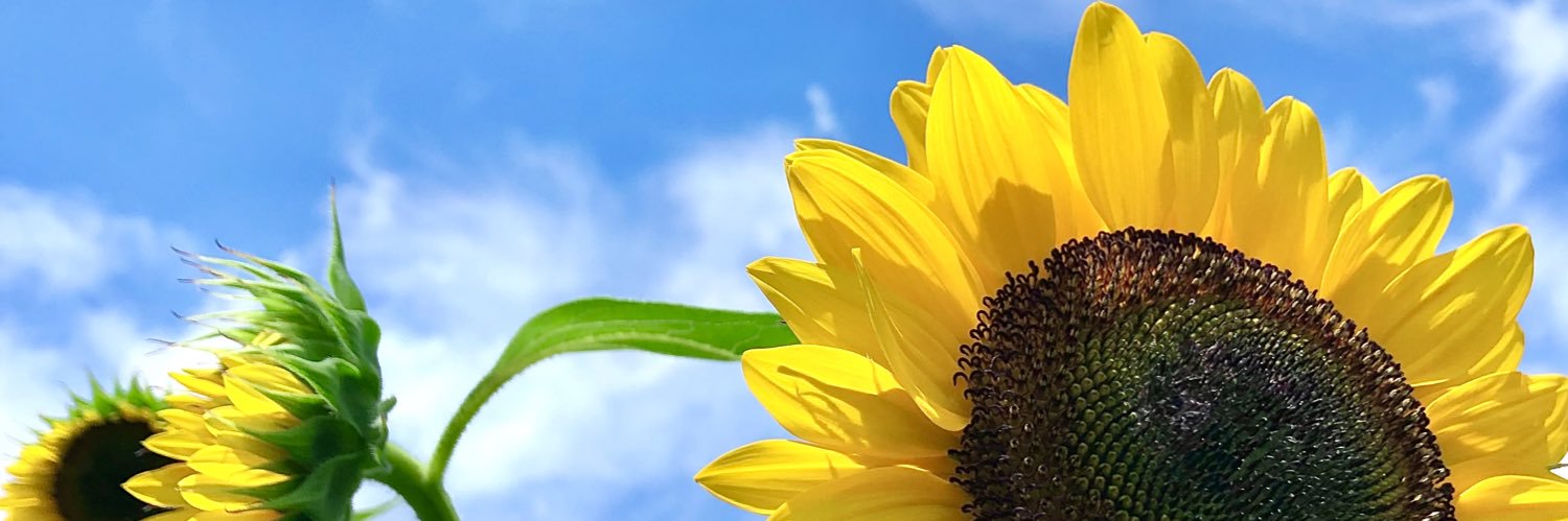 motionvues's profile banner image