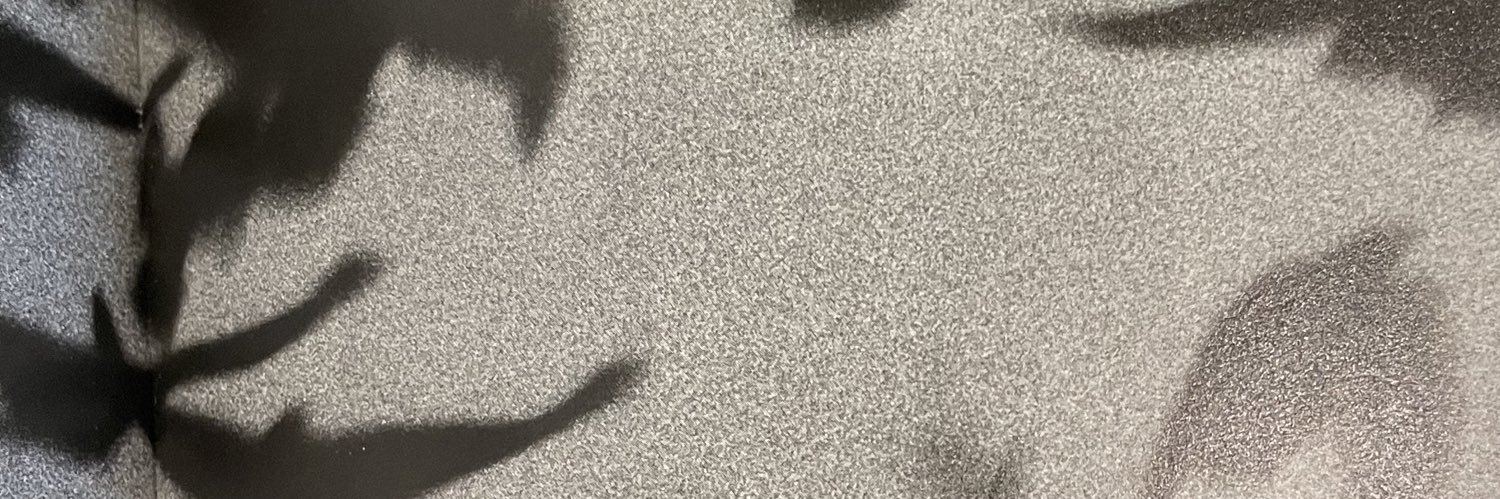 Eunyoung Choi ウニョン banner