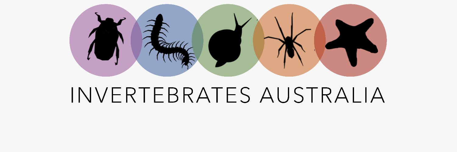 Invertebrates Australia 🪲 Profile Banner