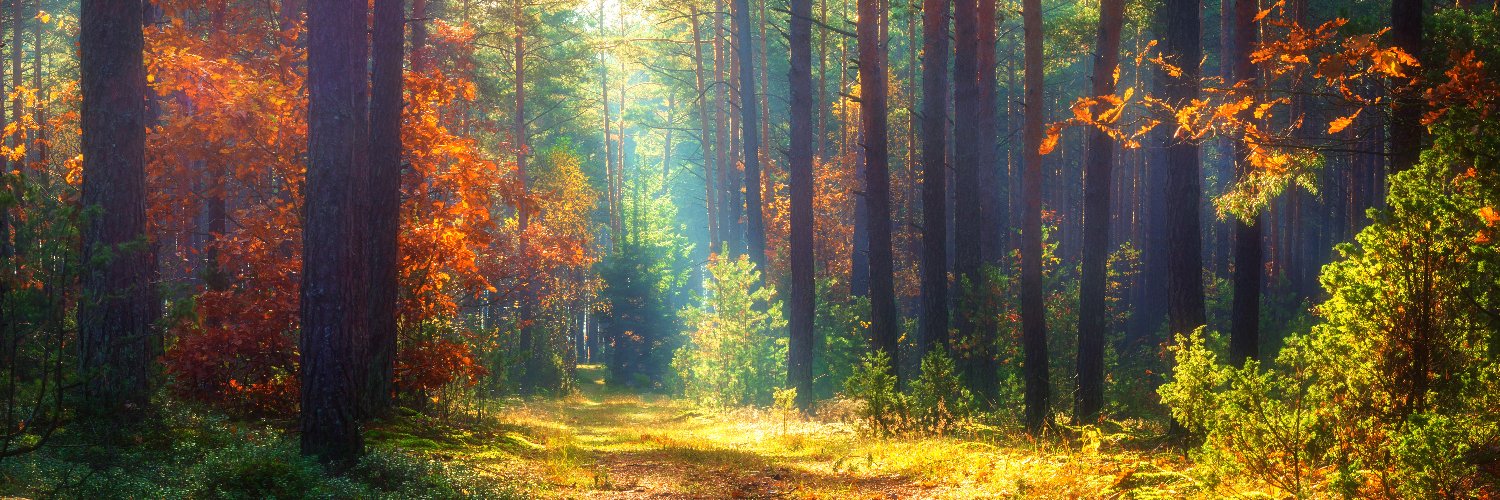 OurTechLegacy.org 🌎 banner