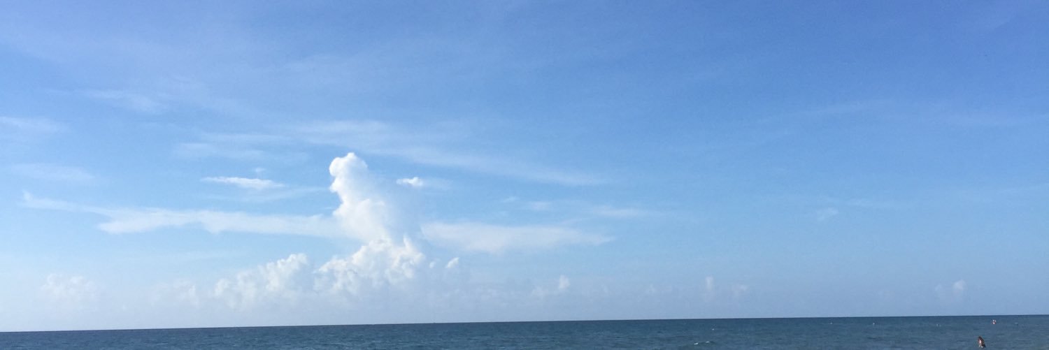 Shuan Rose🇯🇲🌎🇺🇸 banner