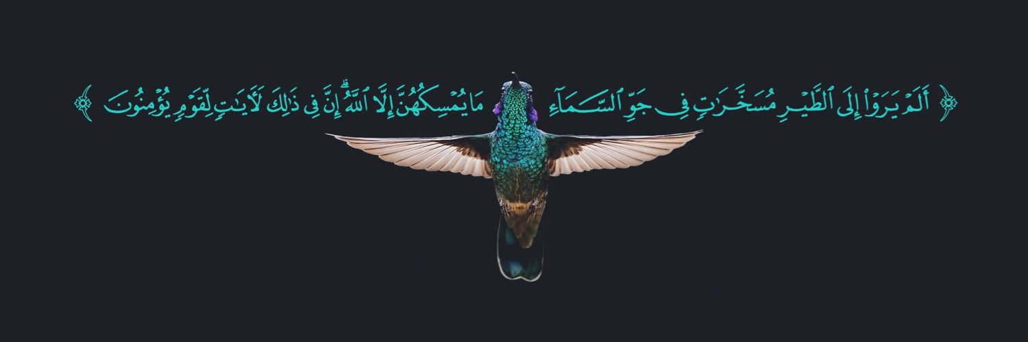 islamdasseh's profile banner image