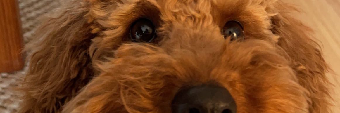 itsandymusic's profile banner image