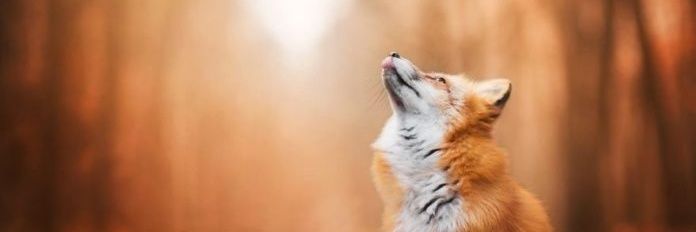 Наташенька banner