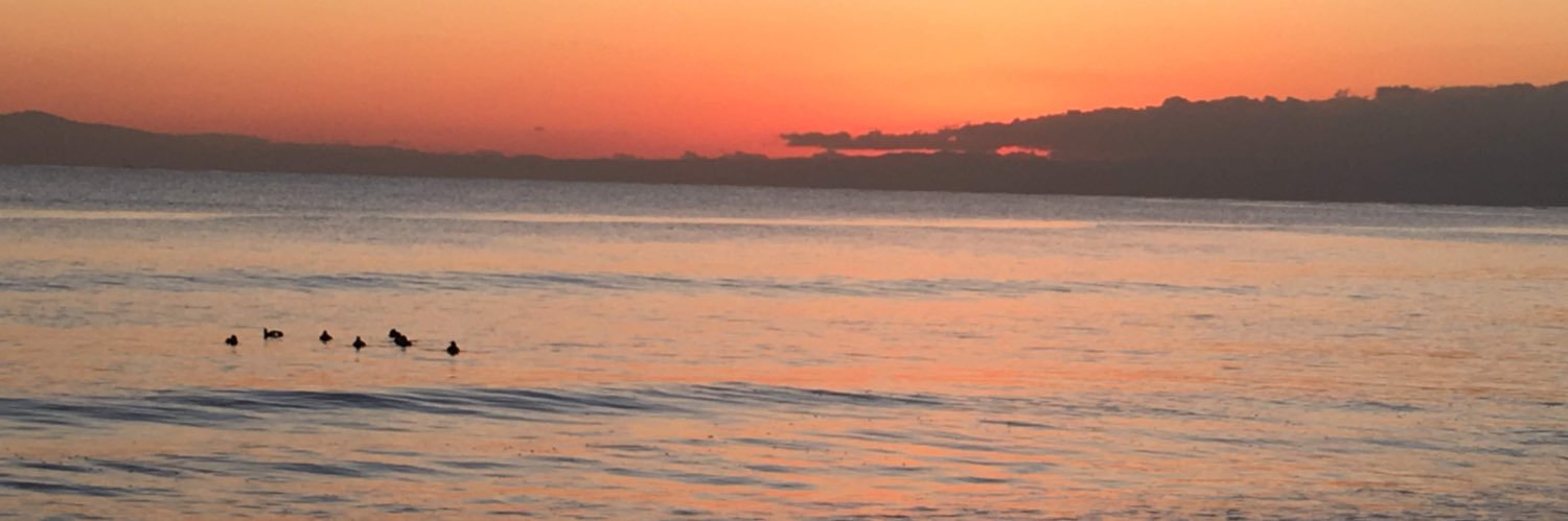 oiboshi77's profile banner image