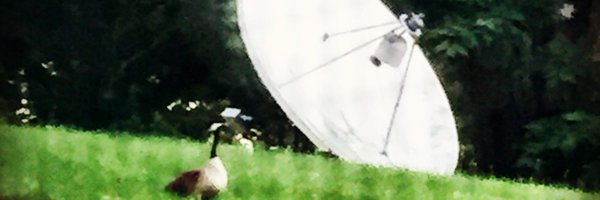 DanShike Profile Banner