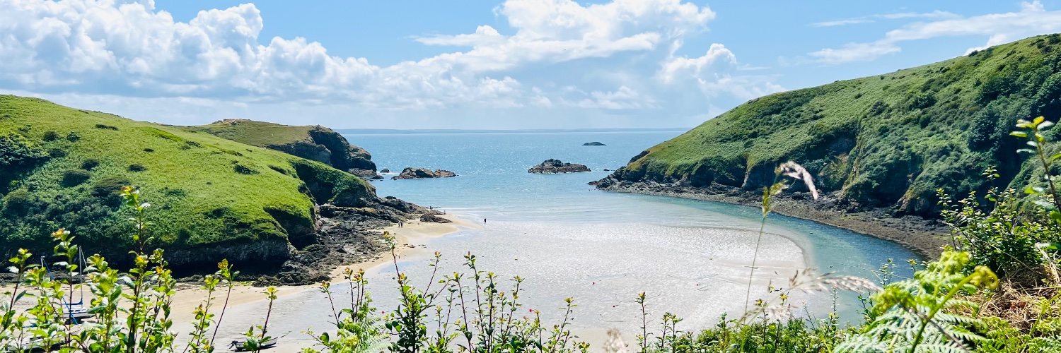 Lottie Loobrush banner