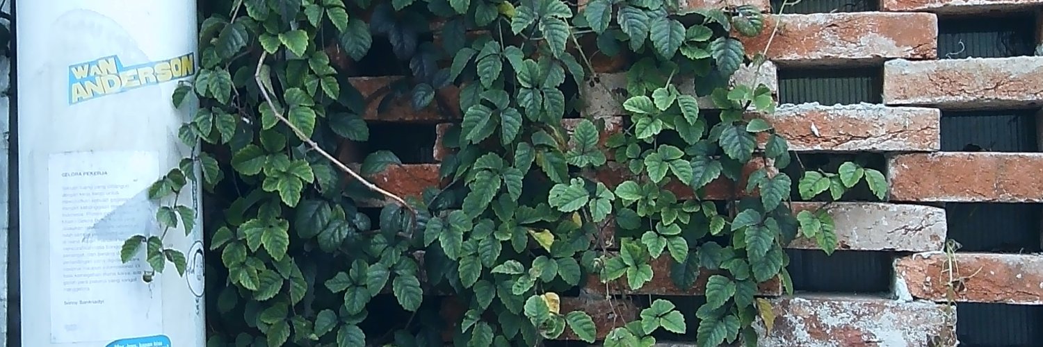 Biilehh banner