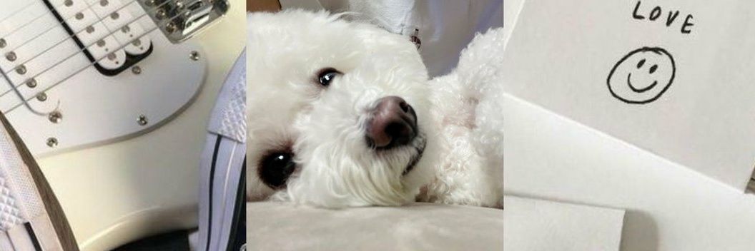 abthoonie's profile banner image
