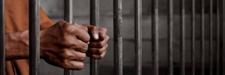 Law and Crime Networks banner