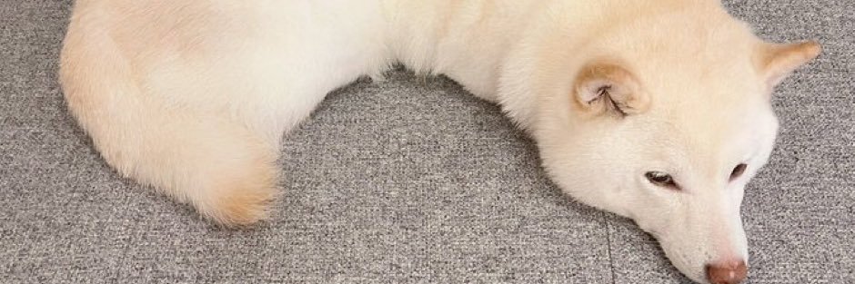 サカタつくね🦔🌱 banner