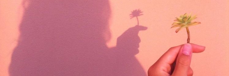mathiramenezes's profile banner image