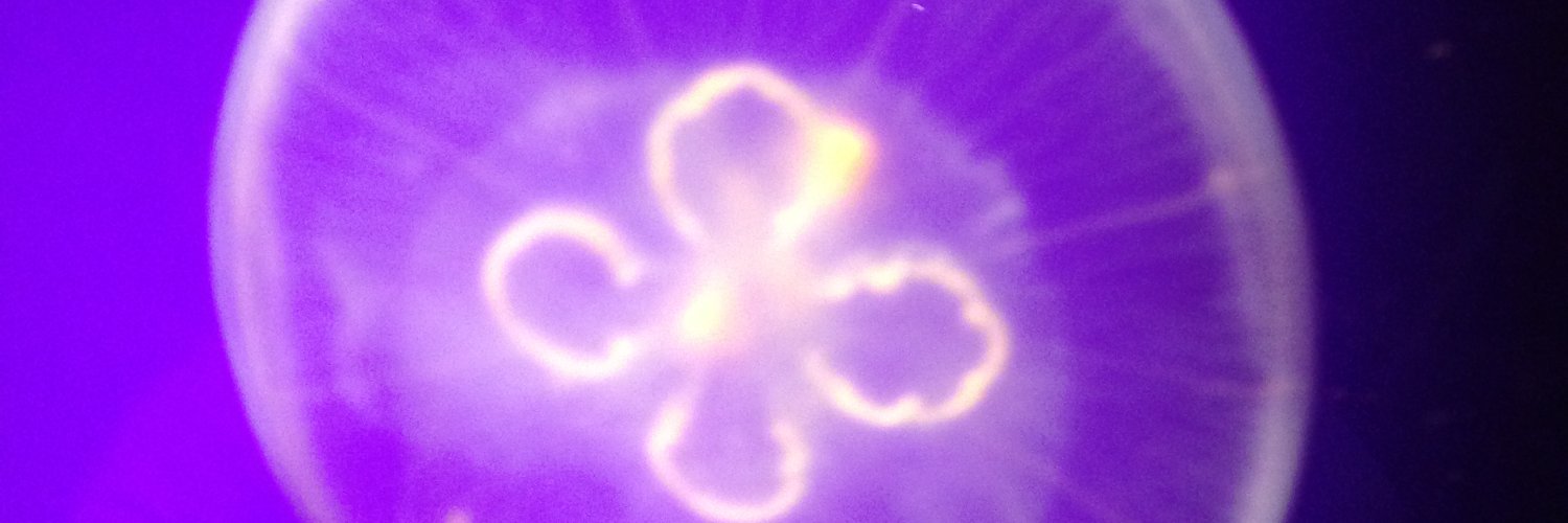NotTheGrok's profile banner image