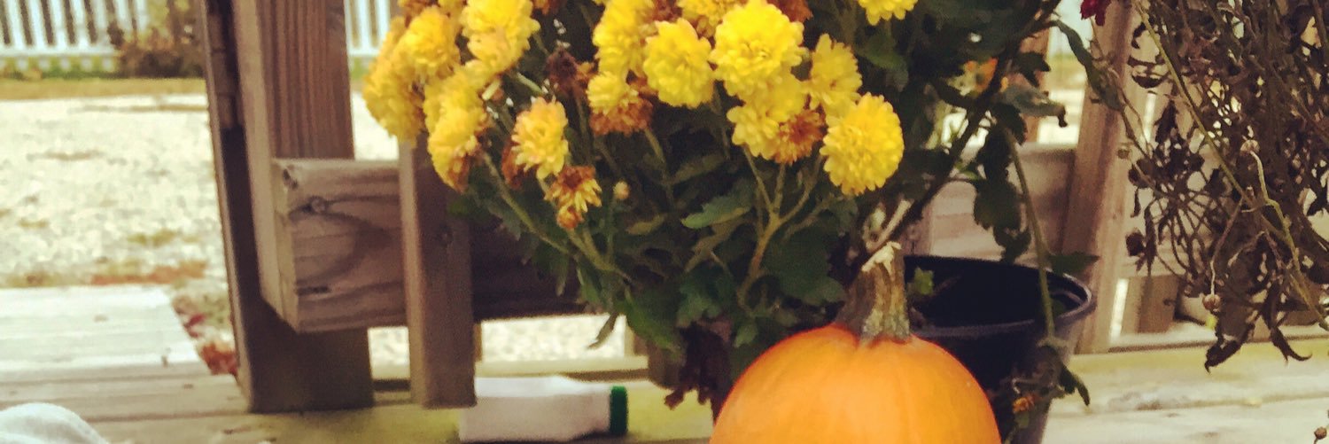 rachaelbiliter's profile banner image