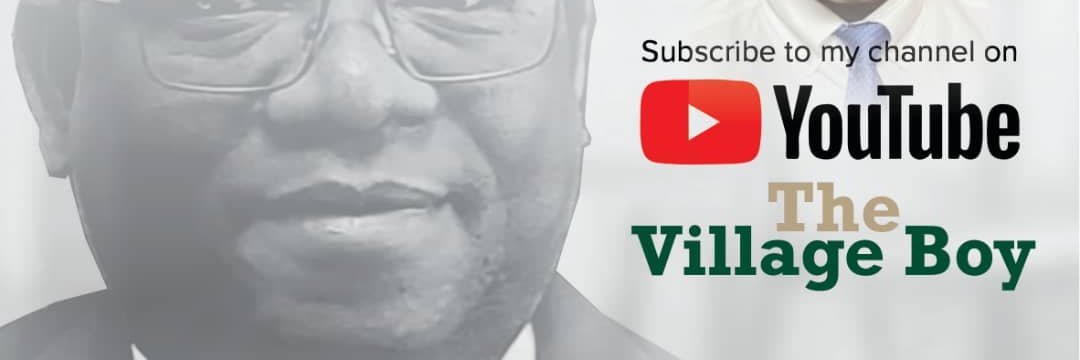 The VillageBoy (PhD) Bolu Oluwadele banner
