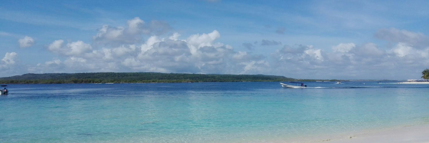 Linuchita's profile banner image