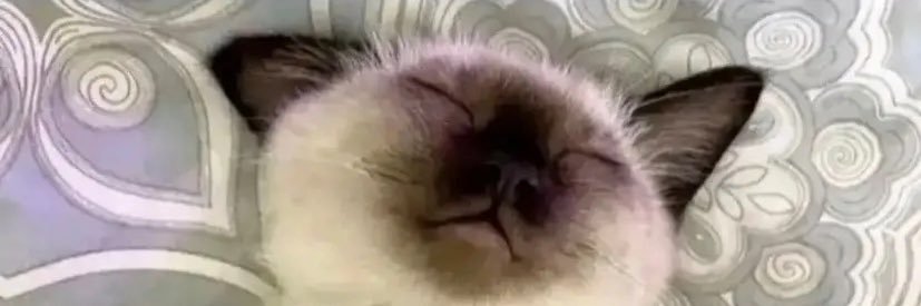 🌩StormCloud🌩 banner