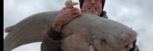 pcitysmitty's profile banner image