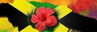 IamCheav's profile banner image