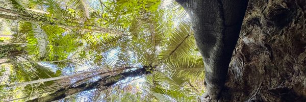 bitlarrain Profile Banner