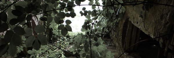 JjCurtis6 Profile Banner