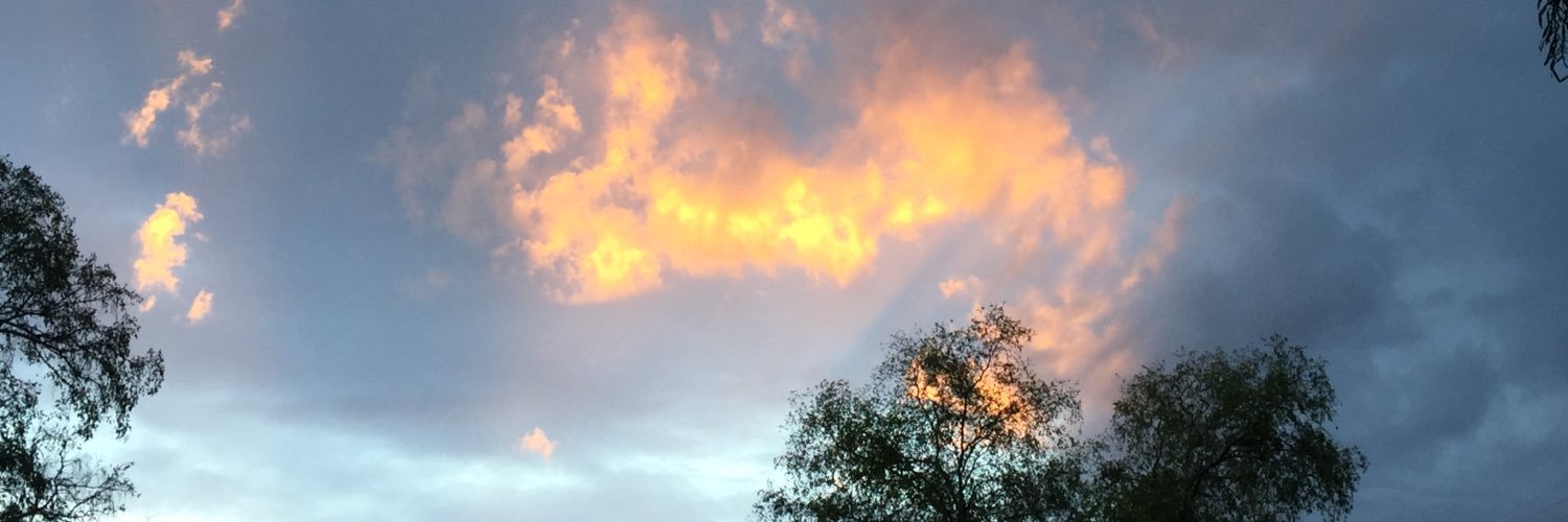 tollefson404's profile banner image