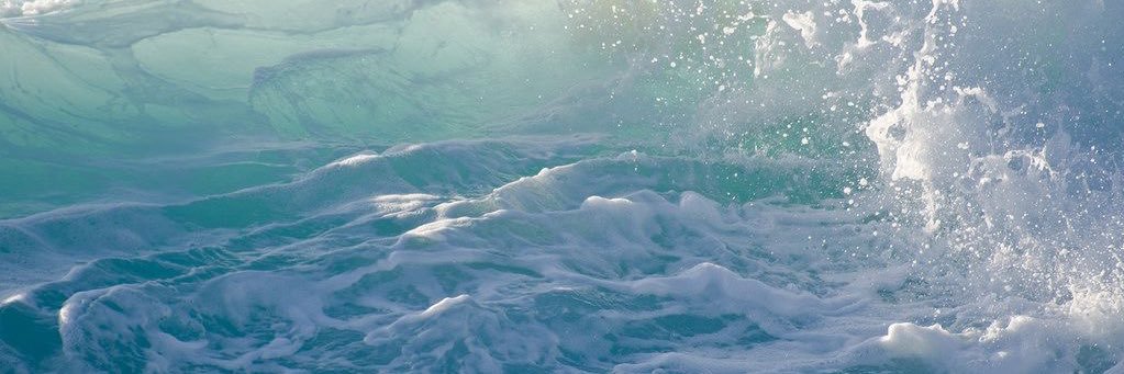 𝗦.𝗛. banner