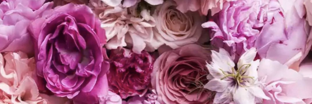 HicksSharetha's profile banner image