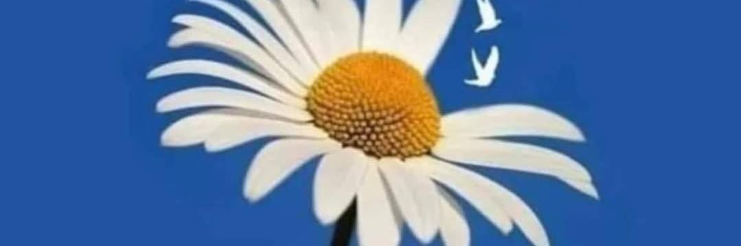 peladoimas's profile banner image