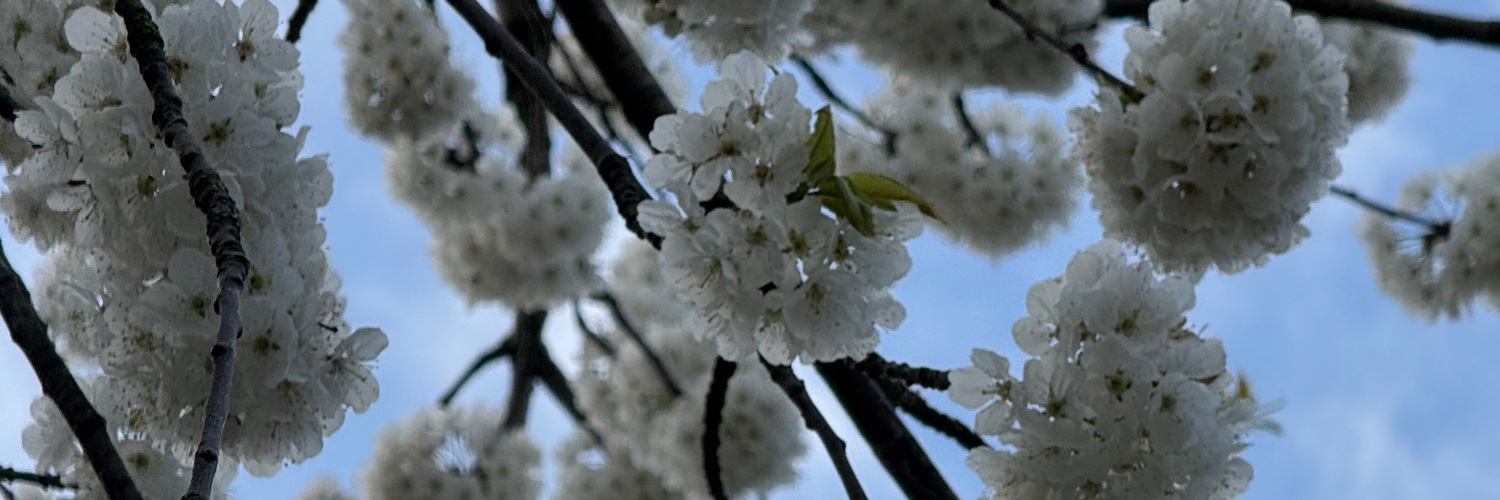 askTechie's profile banner image