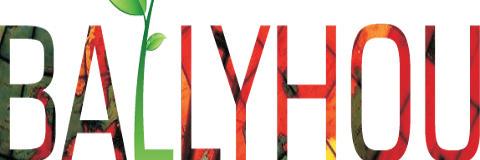 Ballyhou's profile banner image
