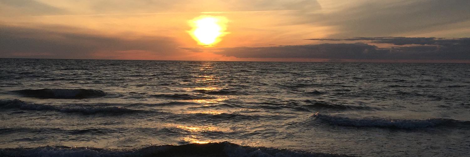 Trond Solheim banner