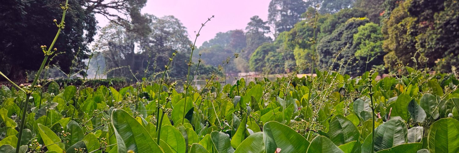 fajarnuha's profile banner image