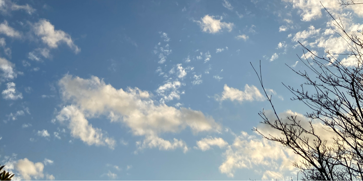 ooqeh's profile banner image